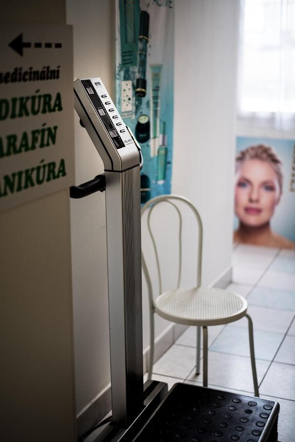 Beauty-Spa Apartment Decin Exterior foto