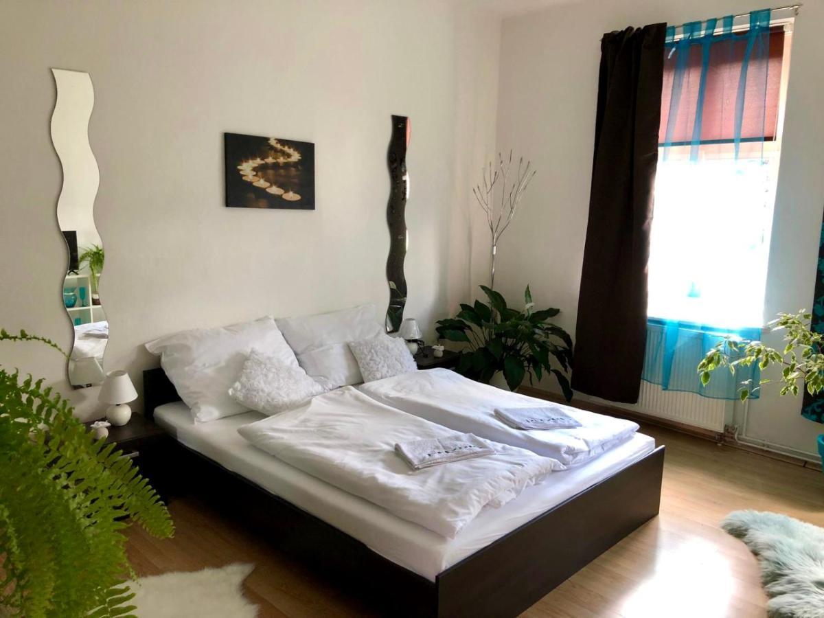 Beauty-Spa Apartment Decin Exterior foto